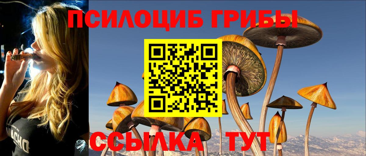 Псилоцибиновые грибы мухоморы Новоалтайск