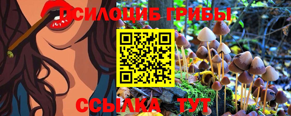Галлюциногенные грибы MAGIC MUSHROOMS  Псилоцибиновые грибы Psilocybine cubensis  Вход с VPN  Новоалтайск 